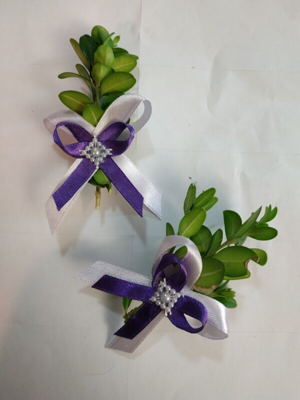 WhatsApp Image 2026-03-10 at 12.01.56 5